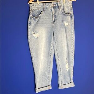 Joe's Jeans Blue Boyfriend Distressed Denim